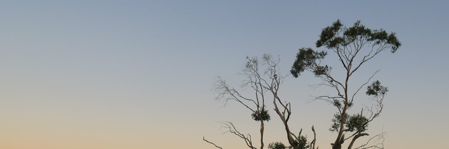 anthmccarthy's profile banner image