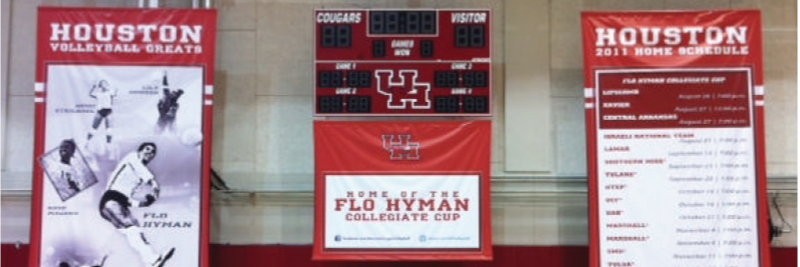 Flo hyman banner