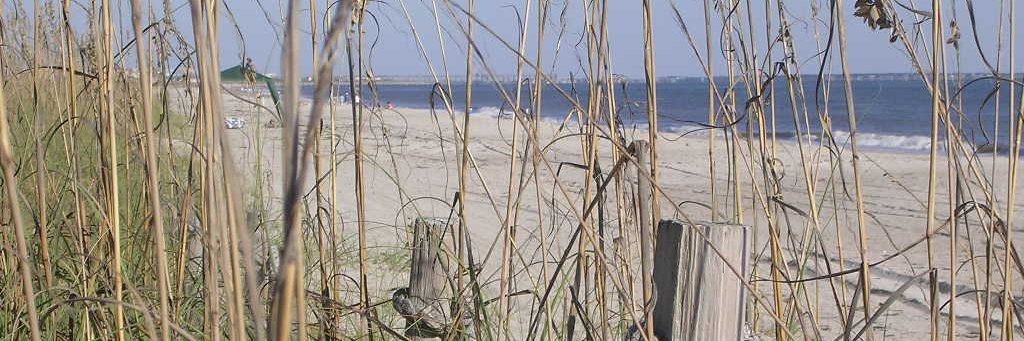 Freya Higgins-Desbiolles banner