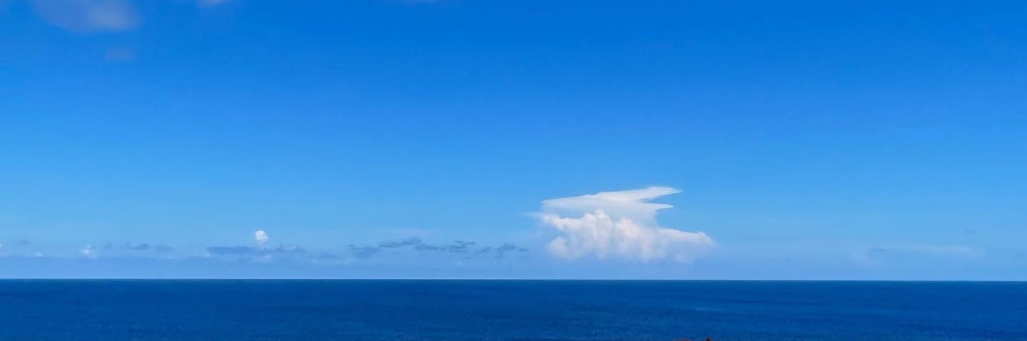 og_wheat's profile banner image