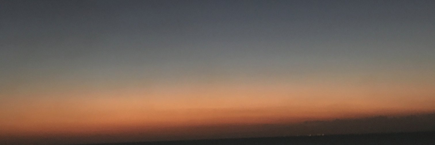 All About Steve banner