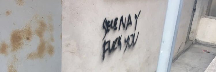 niskaasi's profile banner image
