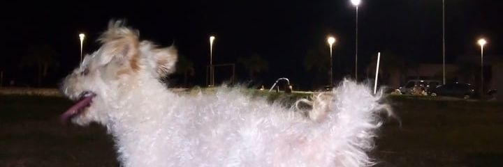 ariabraham_'s profile banner image