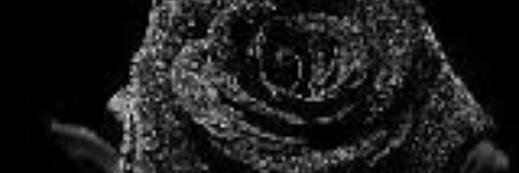 JOOBSV1's profile banner image