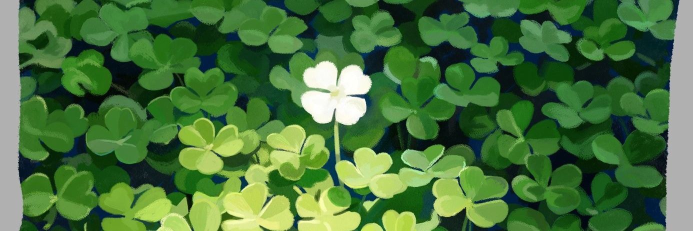fouraddict6's profile banner image