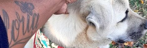 Lesego Semenya banner