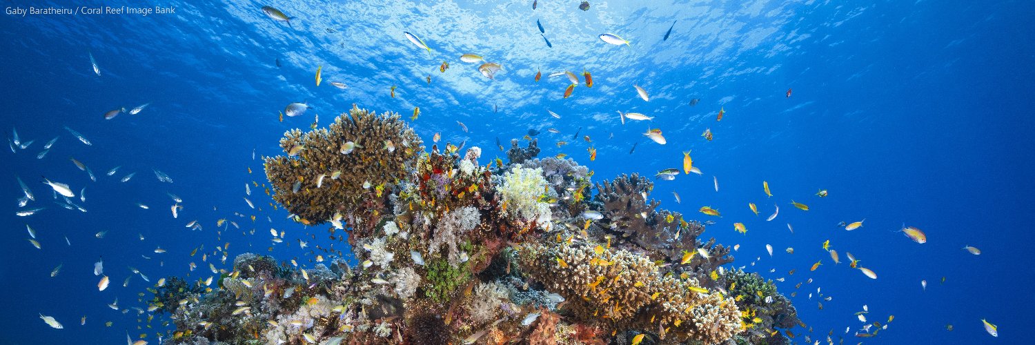 UNEP- Nairobi Convention banner