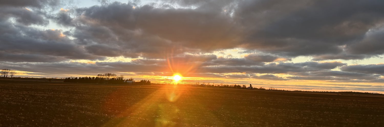 BranWolfe's profile banner image