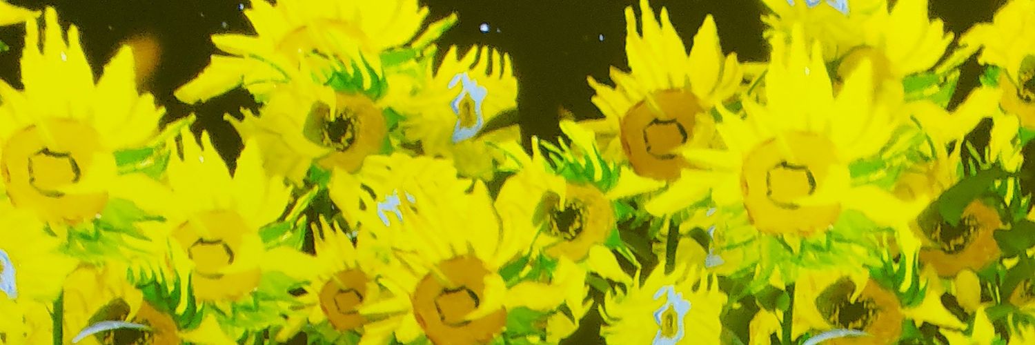 wennn65's profile banner image