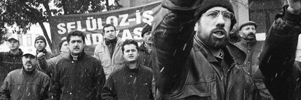 selulozis's profile banner image