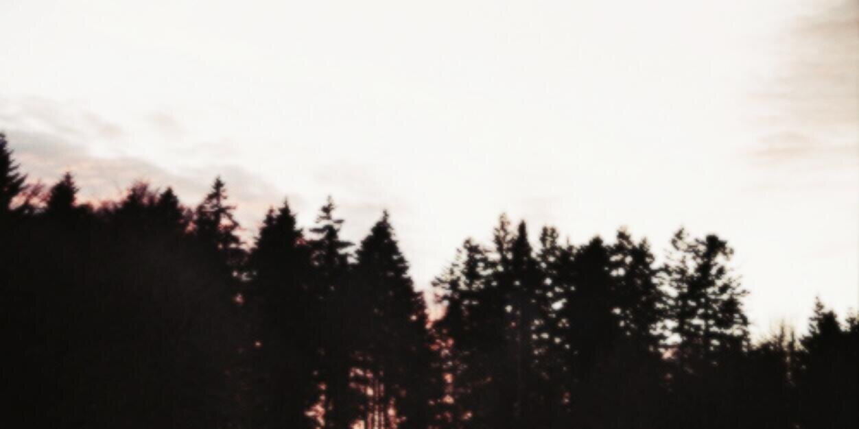georgegdrss's profile banner image