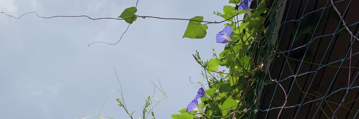 tee22_T's profile banner image