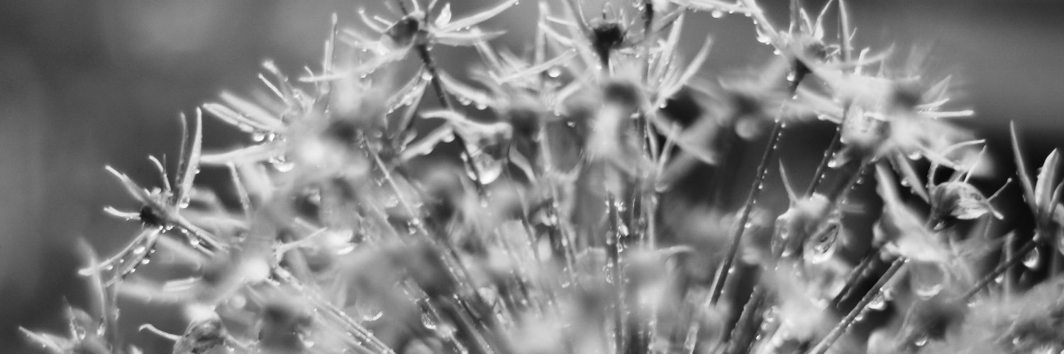 LINKES_FORUM's profile banner image