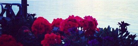 samirafathy24's profile banner image