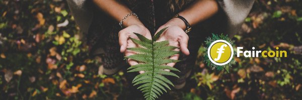 FairCoinTeam Profile Banner