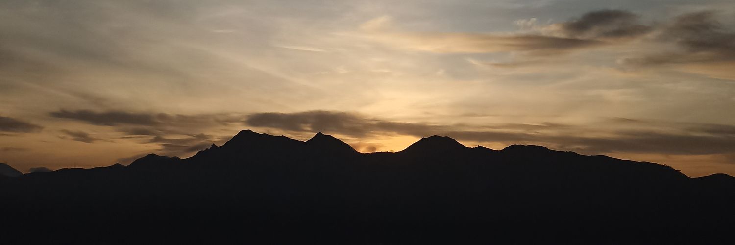 RogerGonzlez29's profile banner image
