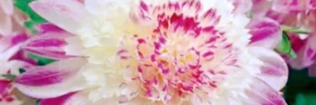 mw167497's profile banner image