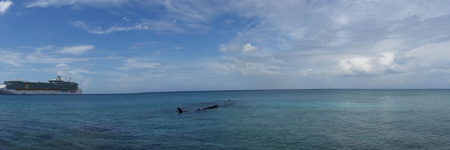 psychobleezy's profile banner image
