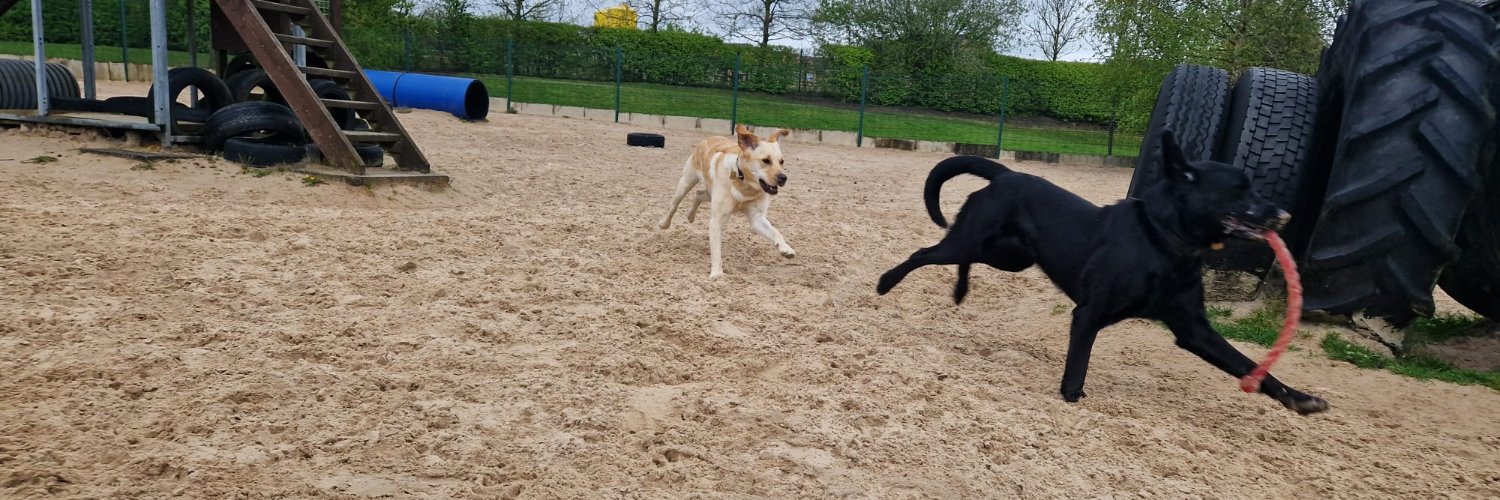 Guide Dogs North West banner