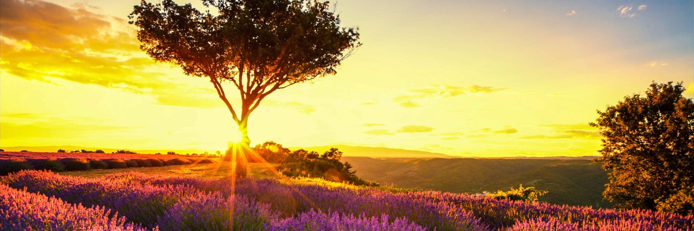 PM_summer69's profile banner image