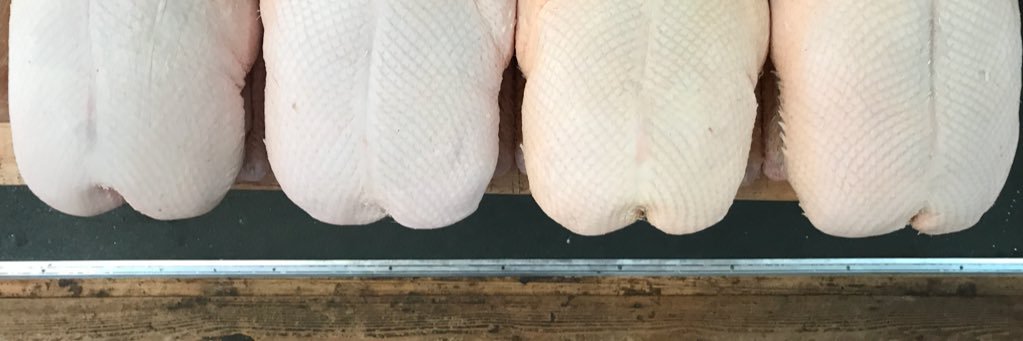 Butcher Farrell banner