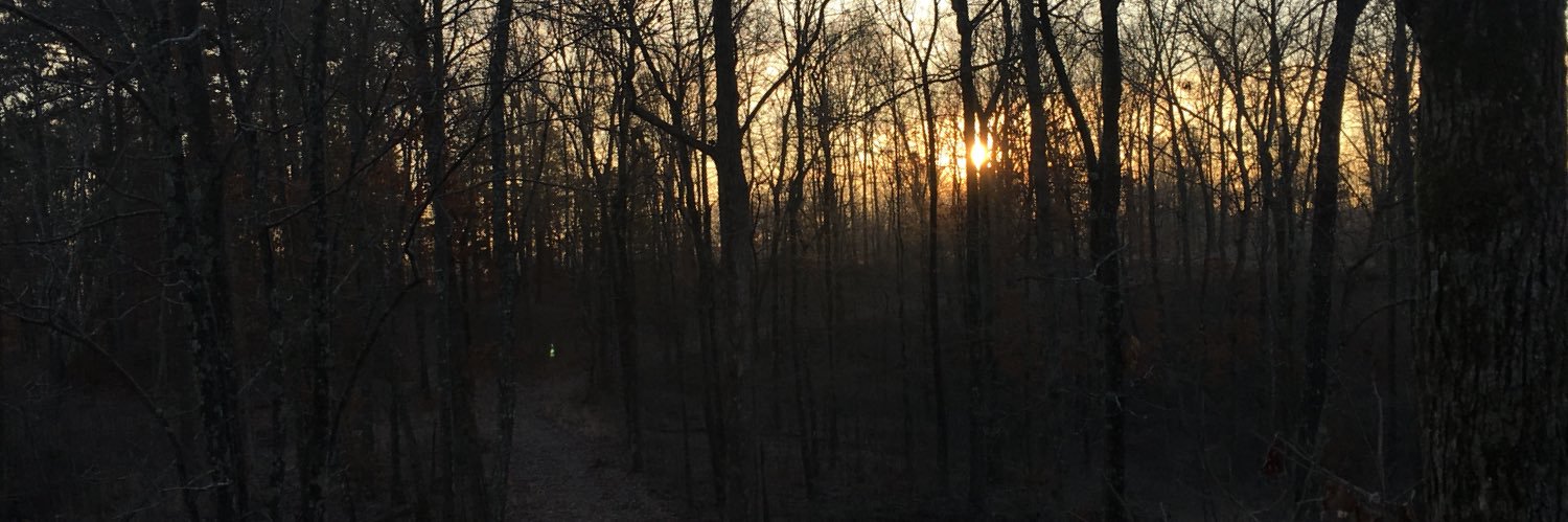 BordenTed's profile banner image