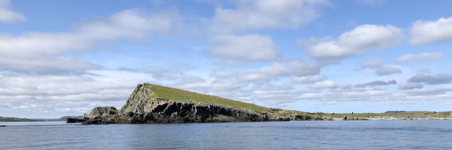 🇺🇦Peter Caravan🇺🇦 banner