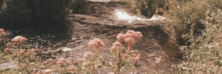 uregirlfriendd's profile banner image