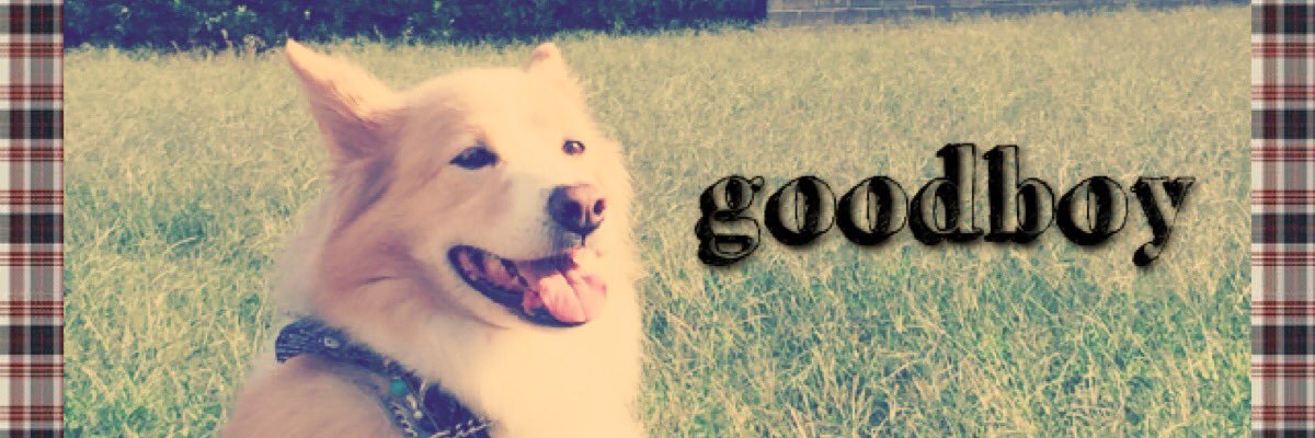 bukizo's profile banner image