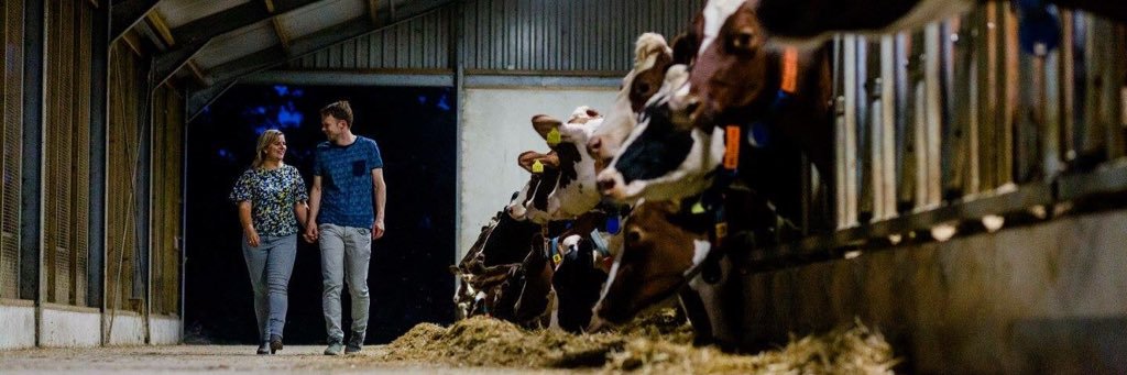 onsveluwe's profile banner image