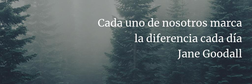 Eva Martínez Rull banner