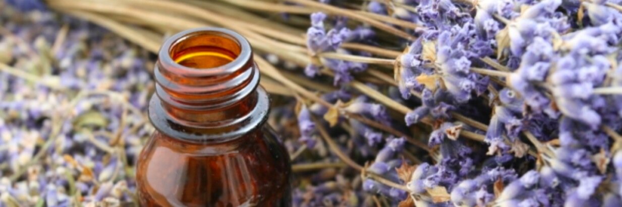 essentialoilsma's profile banner image