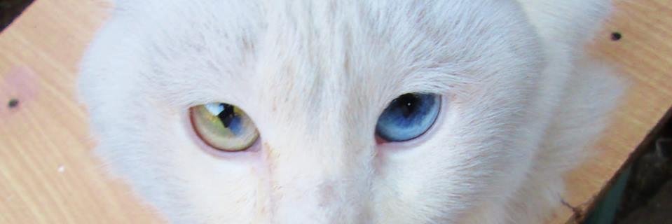 Cathy_grr's profile banner image
