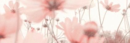 Bashayer__11's profile banner image