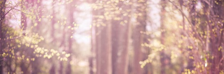 nimbleful's profile banner image