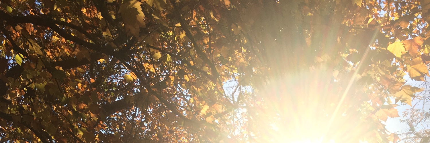 bookranda's profile banner image