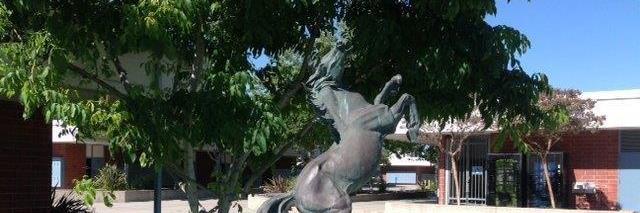 Walnut High School banner