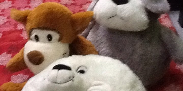 1825Ftoo's profile banner image