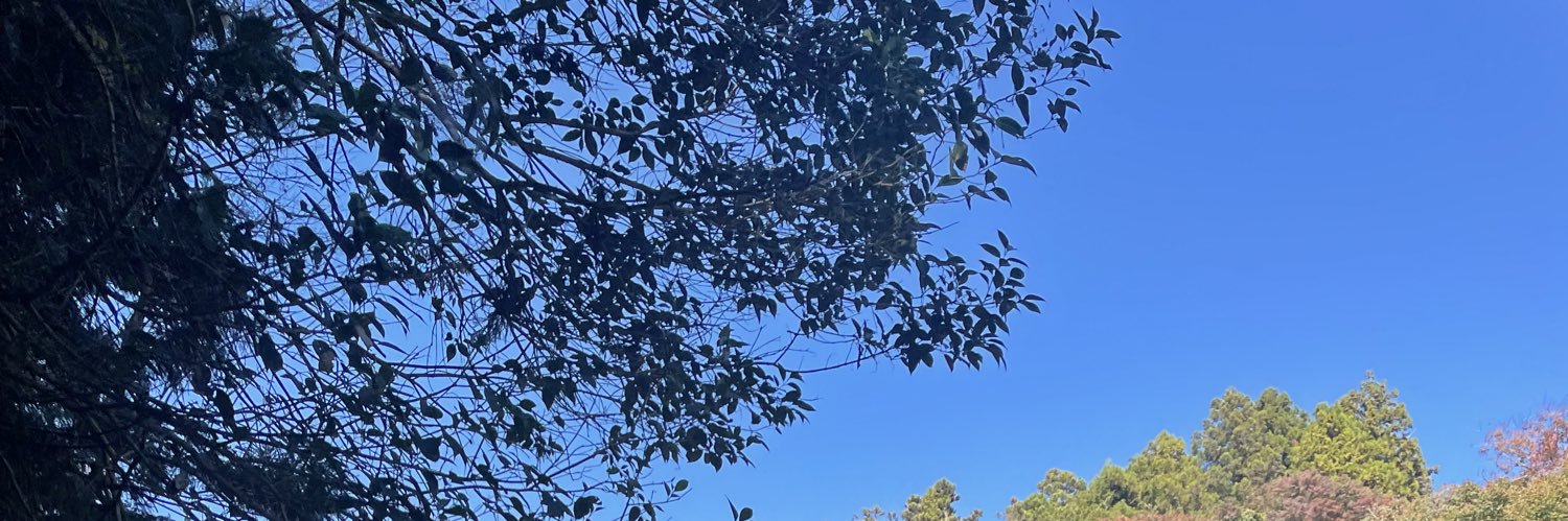 ma45___'s profile banner image