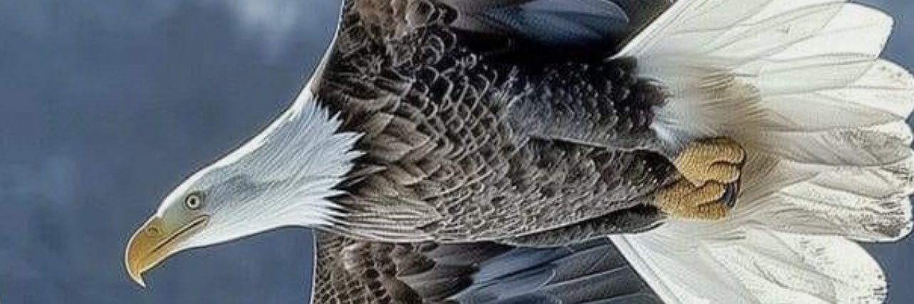 scooby_fab's profile banner image