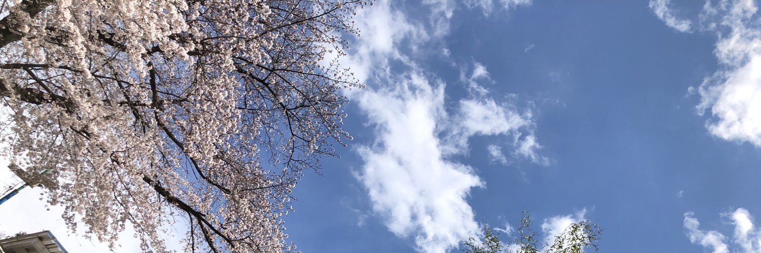 harapekoaimusi's profile banner image