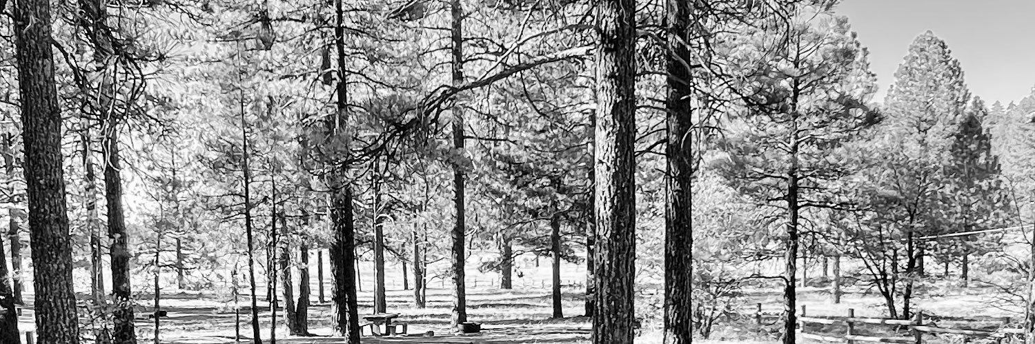 ConJonWhite's profile banner image