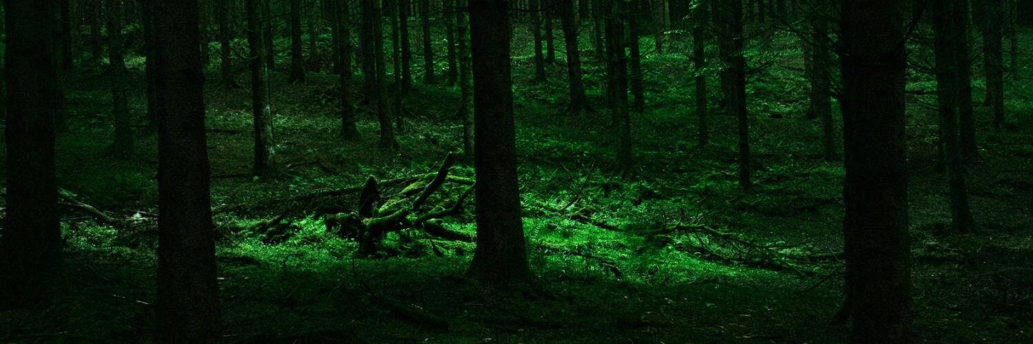 pycode's profile banner image