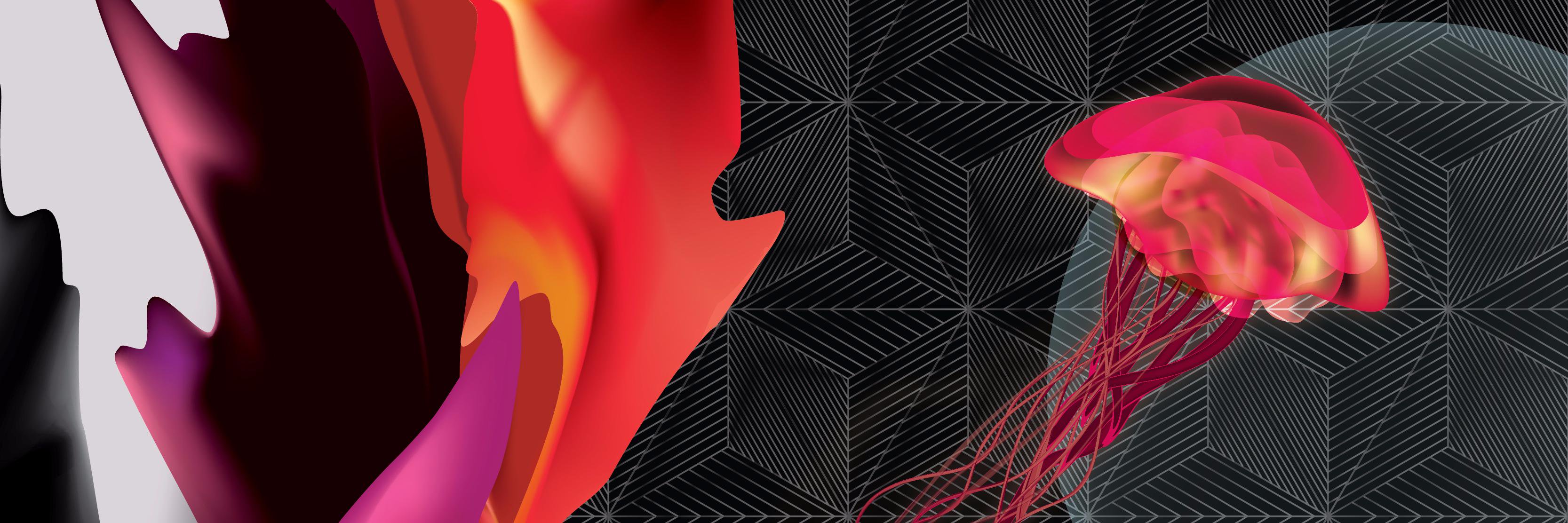 Jollyhooks banner