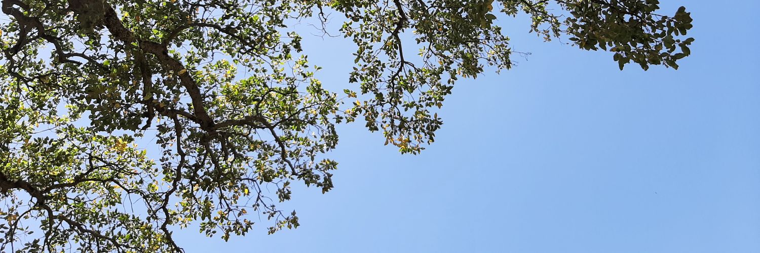 BSBensaid's profile banner image