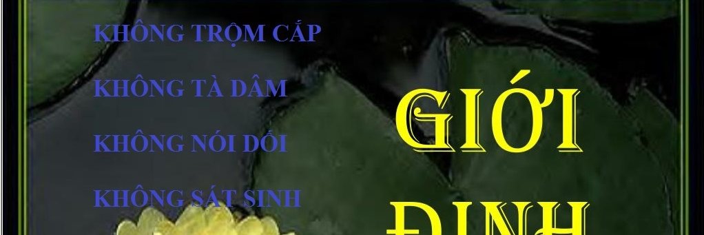 TranThien1101's profile banner image
