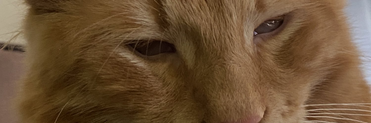 mythicalprim's profile banner image