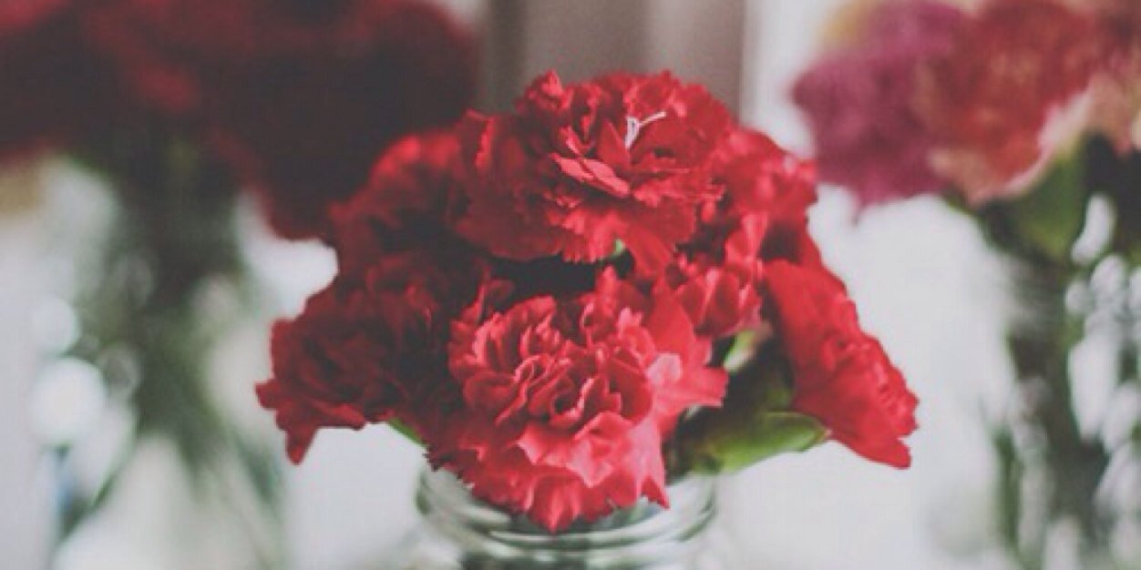 flower12_06's profile banner image