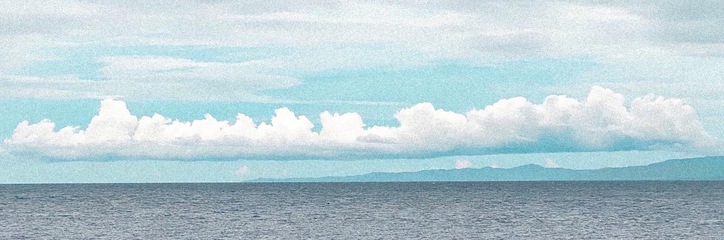 HermionesDobby's profile banner image