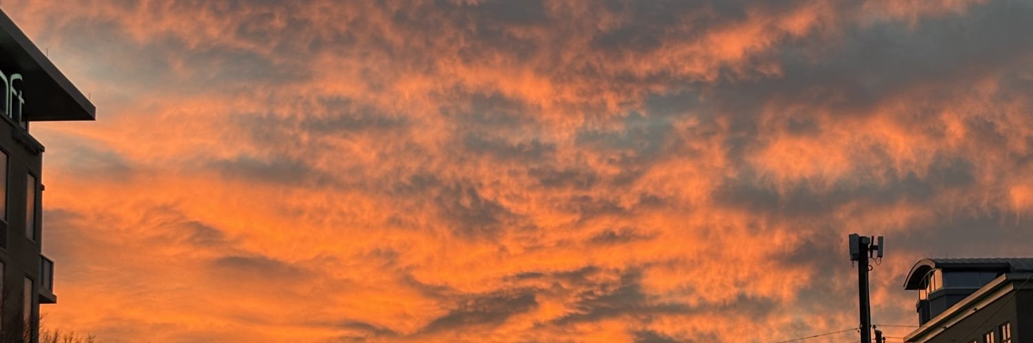 lex_alexander21's profile banner image